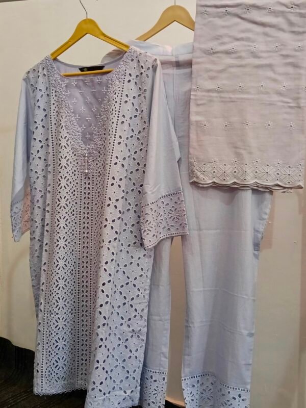 Ice Blue Soft Cotton Hakooba Chikankari Suit with Palazzo and Duppata